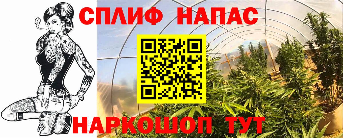 Канабис сатива  Конопля OG Kush  Туапсе  Вход с VPN 